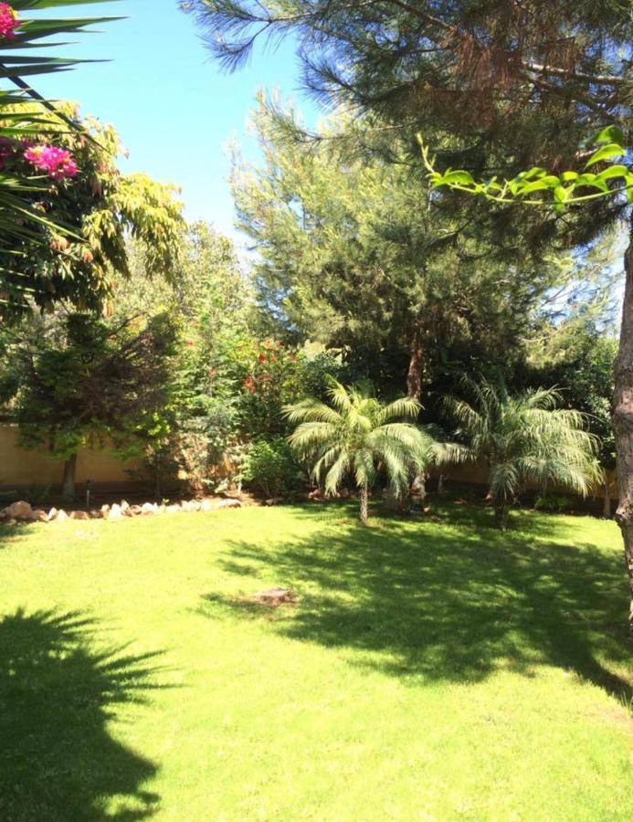 Villa Natalia Αγία Νάπα Εξωτερικό φωτογραφία