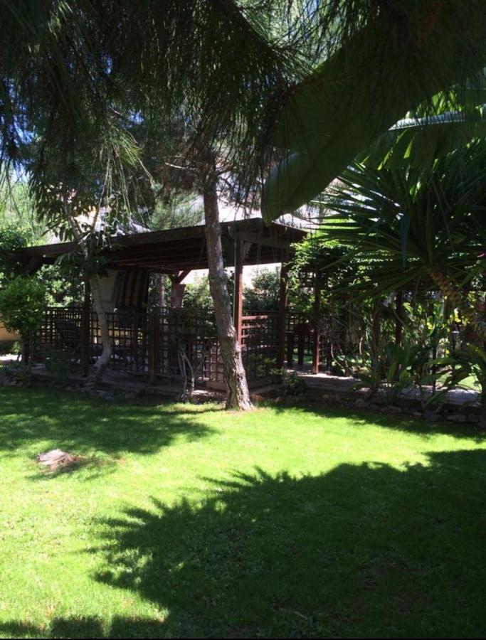 Villa Natalia Αγία Νάπα Εξωτερικό φωτογραφία